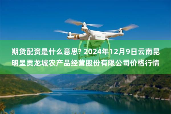 期货配资是什么意思? 2024年12月9日云南昆明呈贡龙城农产品经营股份有限公司价格行情