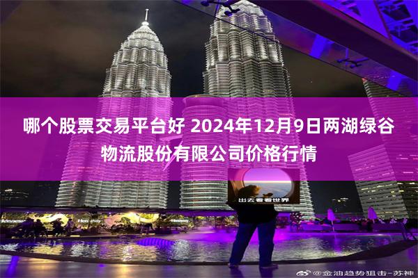 哪个股票交易平台好 2024年12月9日两湖绿谷物流股份有限公司价格行情