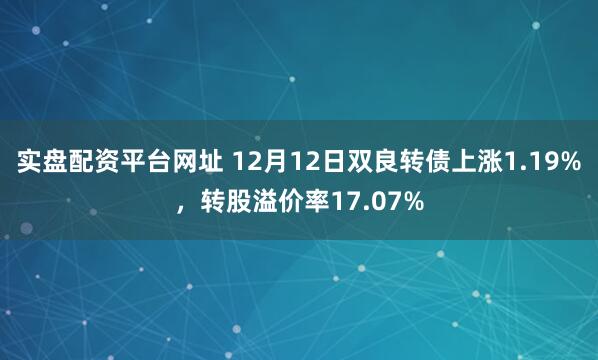 实盘配资平台网址 12月12日双良转债上涨1.19%，转股溢价率17.07%