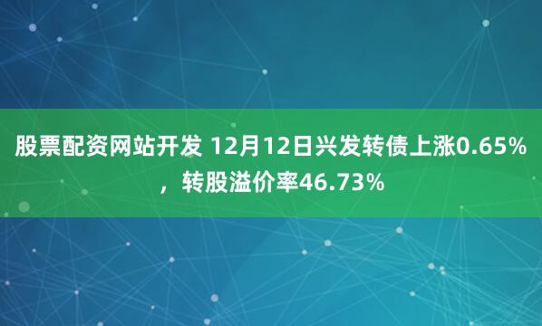 股票配资网站开发 12月12日兴发转债上涨0.65%，转股溢价率46.73%