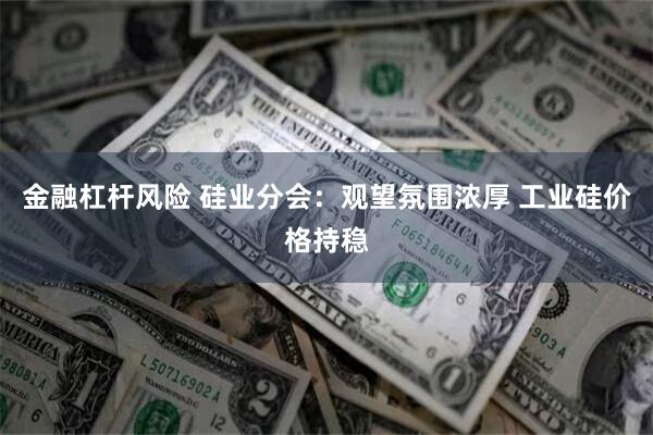 金融杠杆风险 硅业分会：观望氛围浓厚 工业硅价格持稳