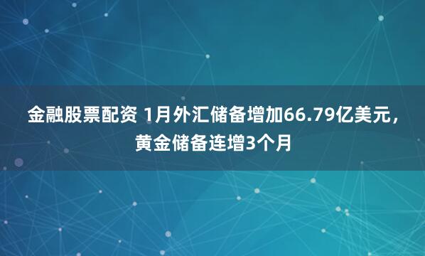 金融股票配资 1月外汇储备增加66.79亿美元，黄金储备连增3个月