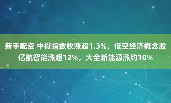 新手配资 中概指数收涨超1.3%，低空经济概念股亿航智能涨超12%，大全新能源涨约10%