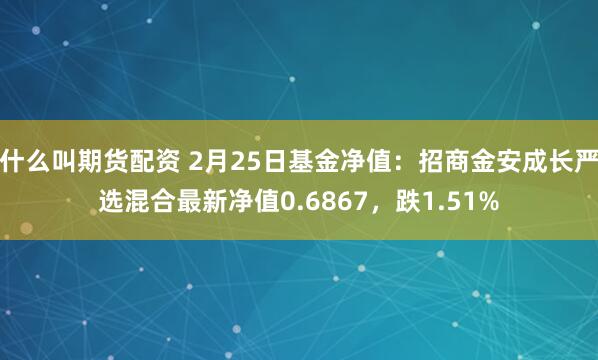 什么叫期货配资 2月25日基金净值：招商金安成长严选混合最新净值0.6867，跌1.51%