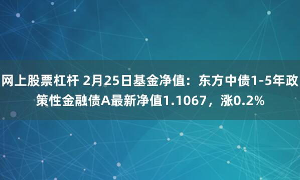 网上股票杠杆 2月25日基金净值：东方中债1-5年政策性金融债A最新净值1.1067，涨0.2%