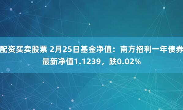 配资买卖股票 2月25日基金净值：南方招利一年债券最新净值1.1239，跌0.02%